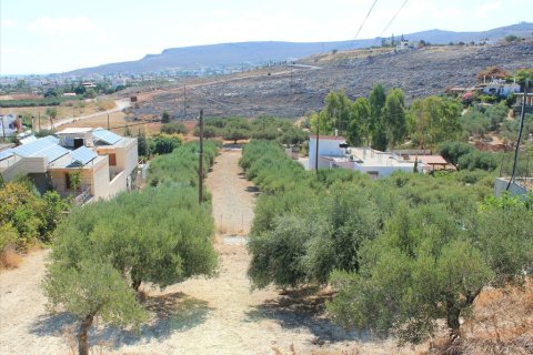 8000m² Land en Heraklion, Greece No. 60113 4