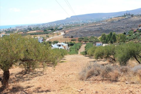 8000m² Land à Heraklion, Greece No. 60113 3