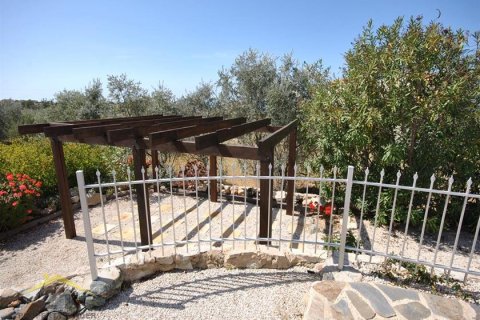 3 bedrooms Villa in Pegeia, Cyprus No. 39128 17