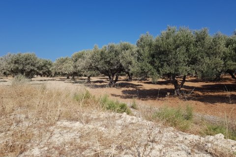 10000m² Land en Heraklion, Greece No. 57037 1