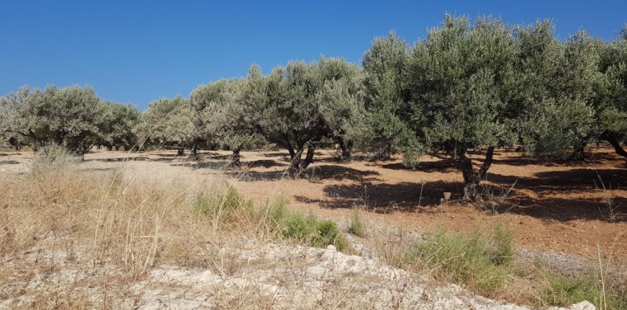 10000m² Land in Heraklion, Greece No. 57037