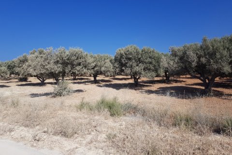 10000m² Land in Heraklion, Greece No. 57037 3