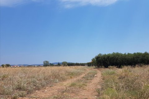 8687m² Land en Polygyros, Greece No. 57042 3