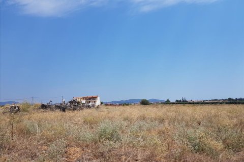 8687m² Land en Polygyros, Greece No. 57042 4