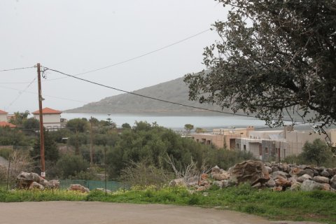 11488m² Land en Agios Nikolaos, Greece No. 57620 16