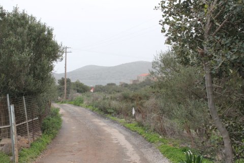 11488m² Land in Agios Nikolaos, Greece No. 57620 13