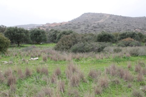 11488m² Land in Agios Nikolaos, Greece No. 57620 5