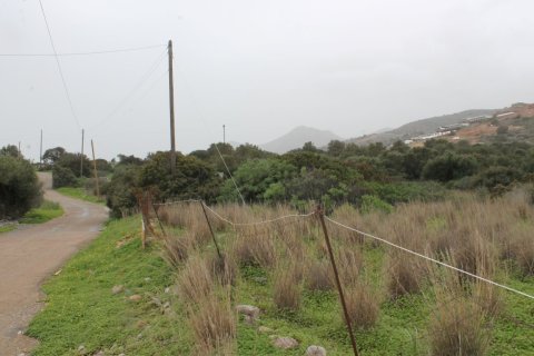 11488m² Land in Agios Nikolaos, Greece No. 57620 4