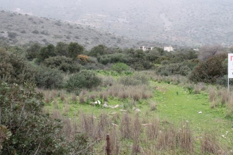 11488m² Land à Agios Nikolaos, Greece No. 57620 6