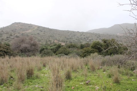 11488m² Land in Agios Nikolaos, Greece No. 57620 2