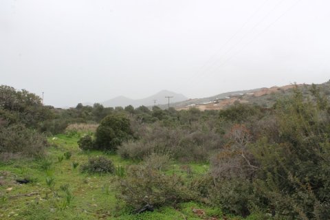 11488m² Land à Agios Nikolaos, Greece No. 57620 8