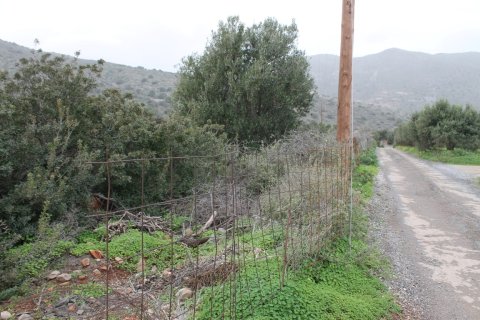 11488m² Land en Agios Nikolaos, Greece No. 57620 9