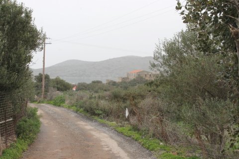 11488m² Land en Agios Nikolaos, Greece No. 57620 10