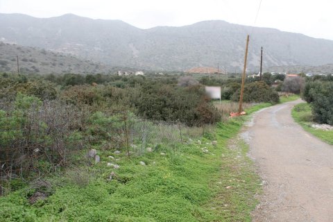 11488m² Land en Agios Nikolaos, Greece No. 57620 1