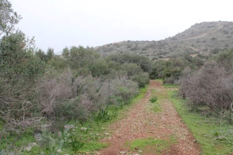 11488m² Land à Agios Nikolaos, Greece No. 57620 12