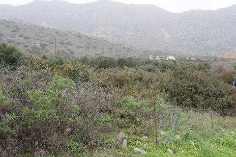 11488m² Land à Agios Nikolaos, Greece No. 57620 7