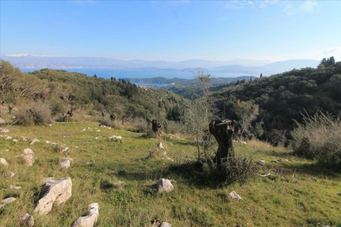 6000m² Land à Corfu, Greece No. 57615 5