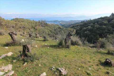 6000m² Land en Corfu, Greece No. 57615 8