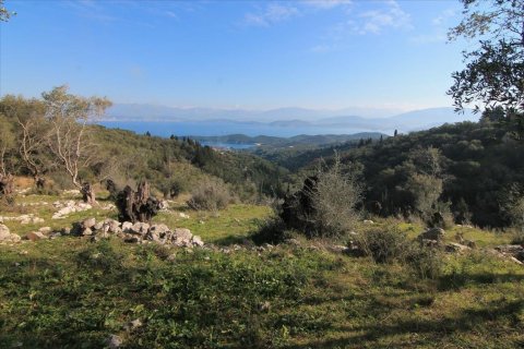 6000m² Land in Corfu, Greece No. 57615 3