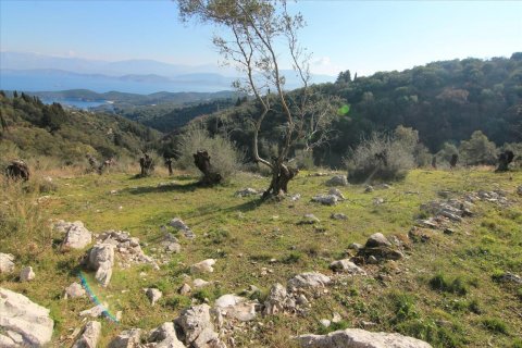 6000m² Land in Corfu, Greece No. 57615 2