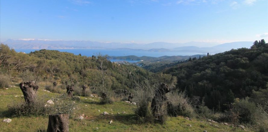 6000m² Land in Corfu, Greece No. 57615