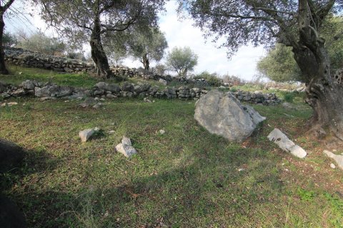 6000m² Land en Corfu, Greece No. 57615 6