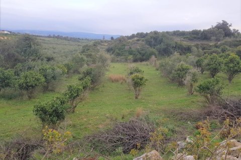 12728m² Land in Rethymno, Greece No. 57616 2