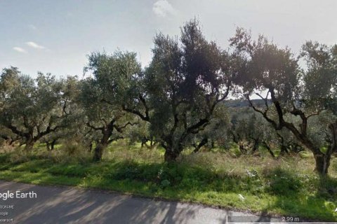 Land in Zakynthos, Greece No. 24540 2