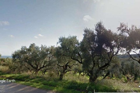 Land in Zakynthos, Greece No. 24540 4