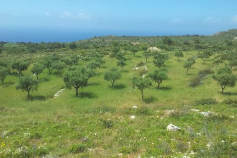 Land en Zakynthos, Greece No. 24539 15