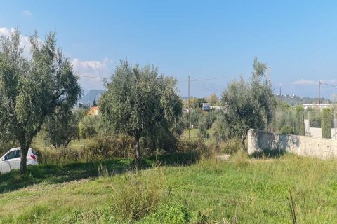 Land in Zakynthos, Greece No. 24566 5