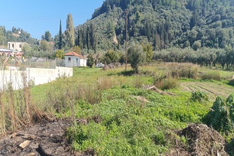 Land in Zakynthos, Greece No. 24566 3