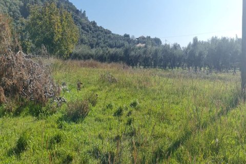 Land in Zakynthos, Greece No. 24566 13