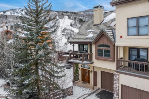 4 chambres Townhouse à Beaver Creek, USA No. 62070 18