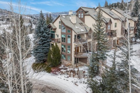 4 dormitorios Townhouse en Beaver Creek, USA No. 62070 22