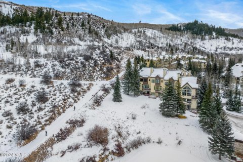 4 chambres Townhouse à Beaver Creek, USA No. 62070 21