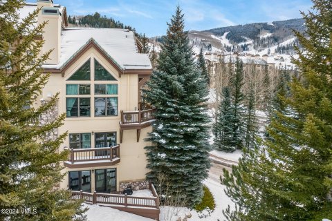 4 dormitorios Townhouse en Beaver Creek, USA No. 62070 23