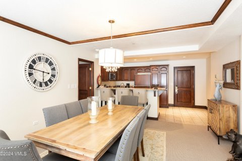 3 chambres Copropriété  à Beaver Creek, USA No. 62078 5