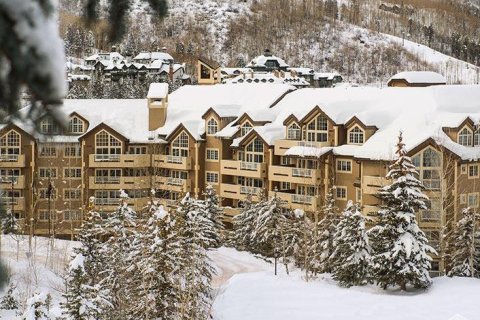 3 chambres Copropriété  à Beaver Creek, USA No. 62078 23