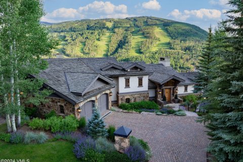 6 bedrooms House in Vail, USA No. 62073 15