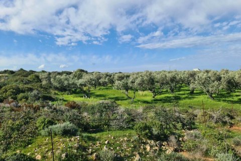 8131m² Land in Chania, Greece No. 55373 2