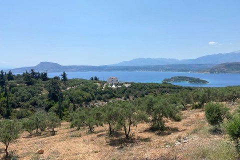 6800m² Land à Chania, Greece No. 55375 2