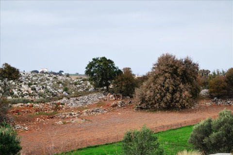 8500m² Land en Rethymno, Greece No. 58961 1