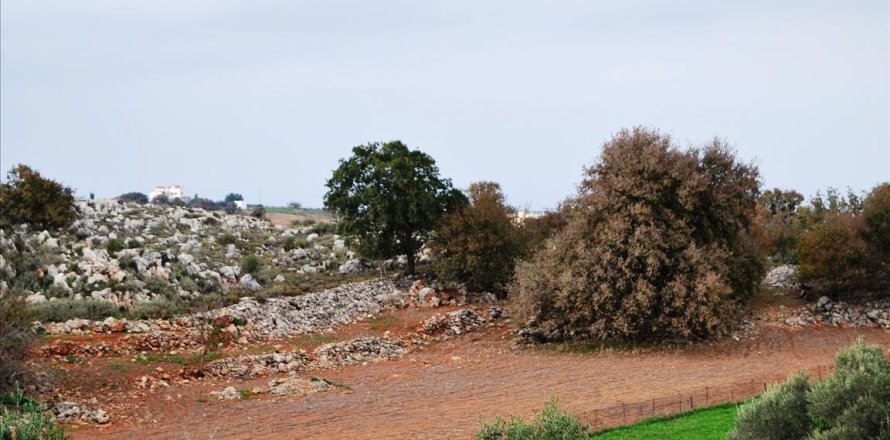 8500m² Land à Rethymno, Greece No. 58961