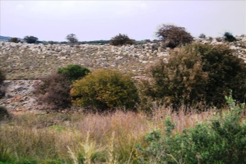 8500m² Land à Rethymno, Greece No. 58961 4