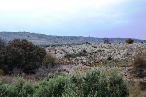 8500m² Land in Rethymno, Greece No. 58961 6