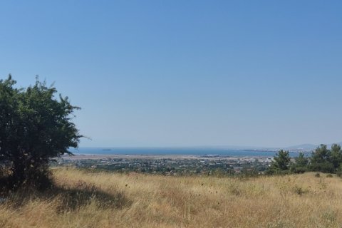 6000m² Land en Thessaloniki, Greece No. 58959 4