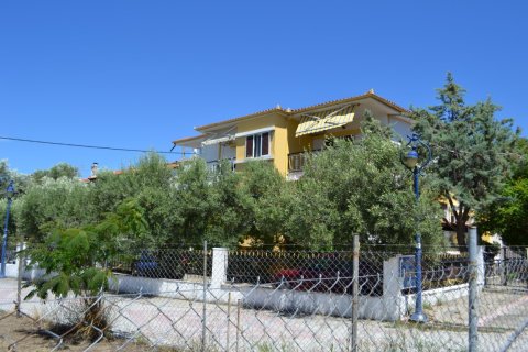 600m² Hotel in Chalkidiki, Greece No. 58983 14