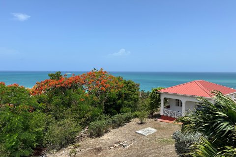 7 chambres Villa à Cedar Grove, Antigua and Barbuda No. 61397 12