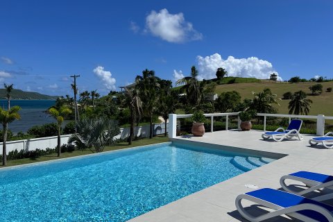 4 bedrooms Villa in Piccadilly, Antigua and Barbuda No. 61398 3